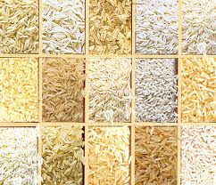 different rice varieties