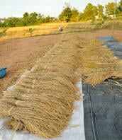 single grain moisture meter for harvest time