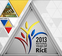 national year of rice 2013