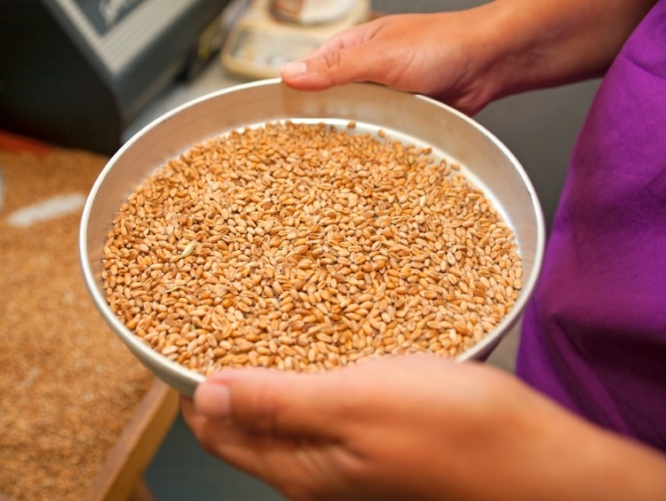 3-best-practices-for-preventing-spoilage-during-grain-storage